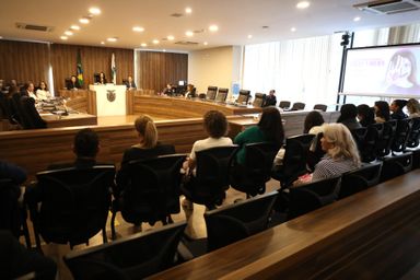 Assembleia Legislativa debate ações integradas para fortalecer políticas de enfrentamento à violência contra a mulher no Paraná