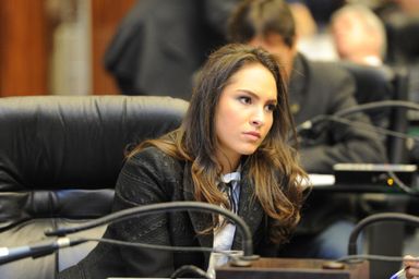 Assembleia promove audiência pública para debater construção de termoelétricas e hidrelétricas