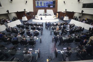 Assembleia Legislativa aprova projeto da deputada Cristina Silvestri (PP) que reconhece Guarapuava como Capital da Batata Inglesa