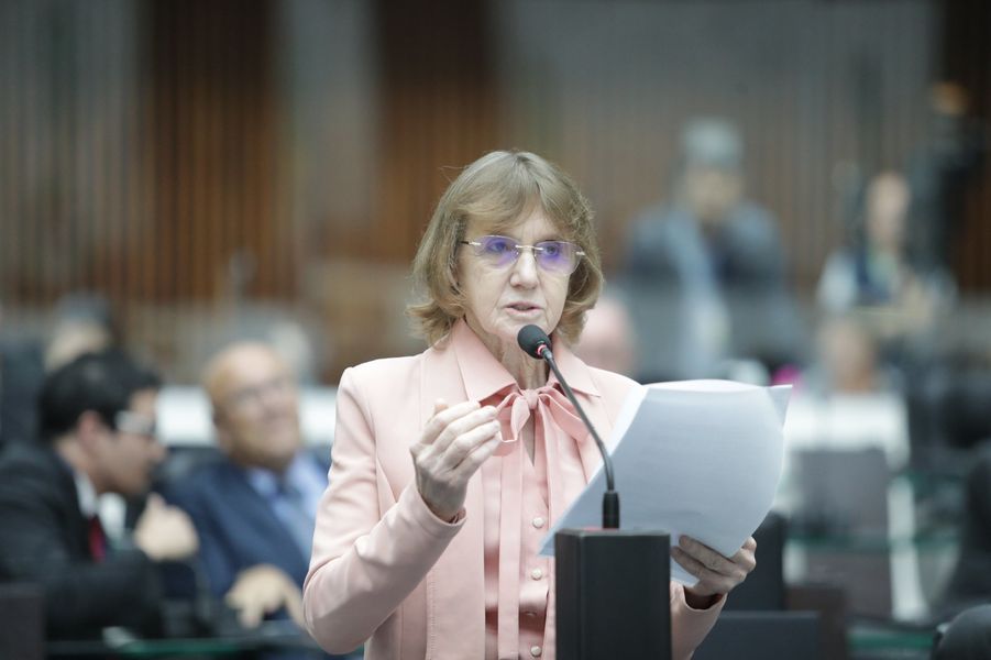 luciana dnit