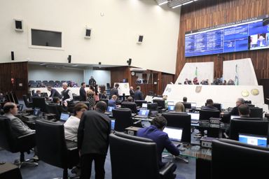 Segue para sanção projeto que institui gratuidade ou desconto a idosos de baixa renda no transporte intermunicipal