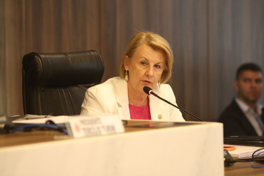 huçulak comite saude reunião