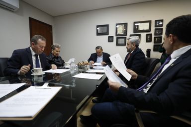 Comissão de Educação aprova projetos que ampliam os direitos das pessoas com autismo e com altas habilidades