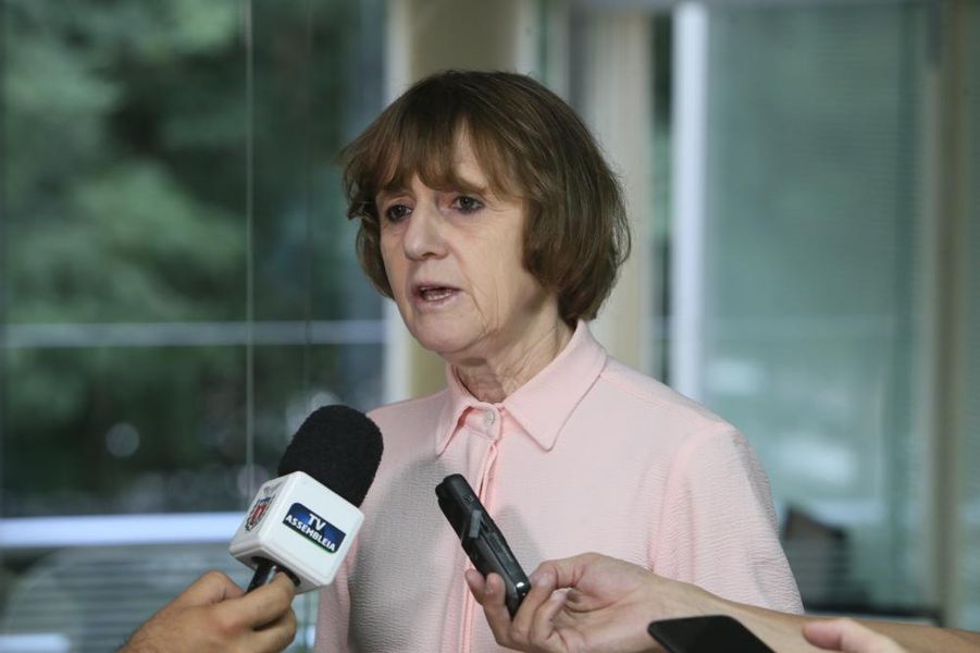 Deputada Luciana Rafagnin 2