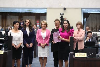 Código da Mulher Paranaense é aprovado na Assembleia Legislativa