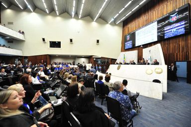 Sessão especial destaca atuação das APAEs na inclusão social dos cidadãos