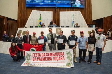 MST recebe homenagem do deputado Goura (PDT) por ação de plantio de palmeira Juçara