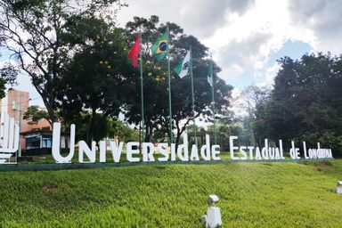 Deputado Cobra Repórter (PSD) requer medidas urgentes para redução de velocidade na PR-445
