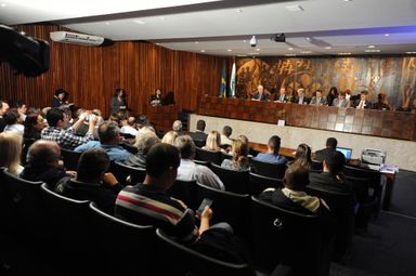 Audiência reúne representantes da produção ervateira para discutir criação da Política Nacional da Erva-Mate