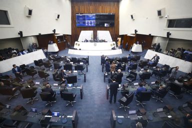 Segue para sanção governamental proposta que institui Campanha permanente de aconselhamento genético