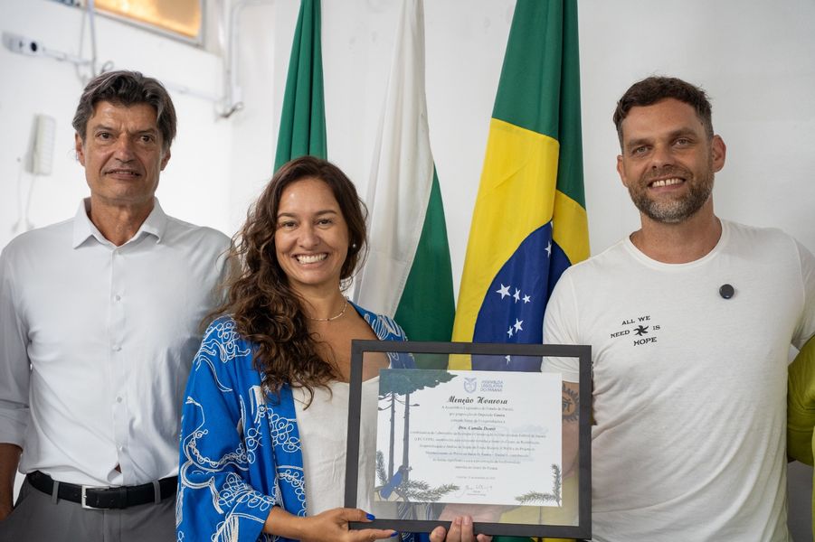 goura menção