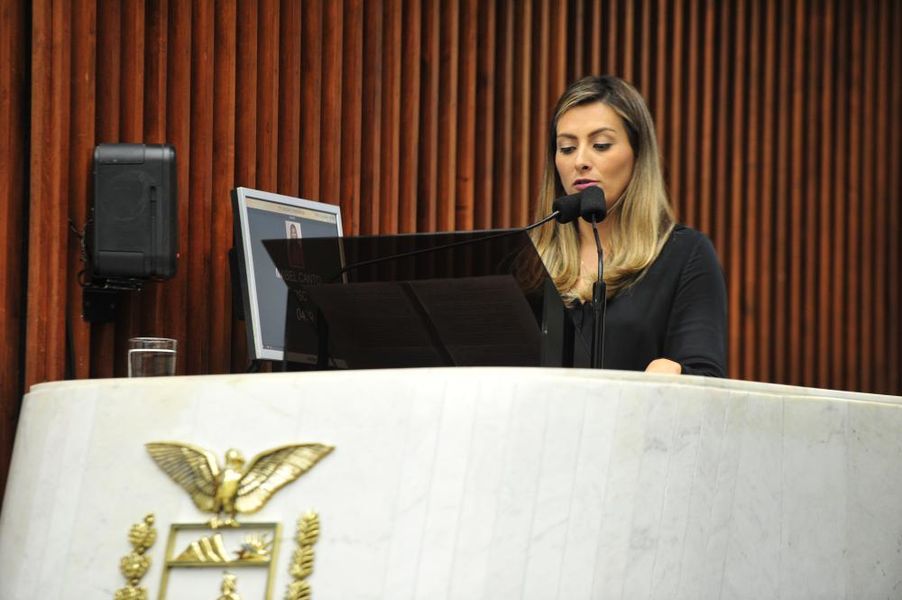 Deputada Mabel Canto