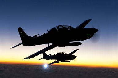 Sessão solene marca o Dia do Aviador e da Força Aérea Brasileira