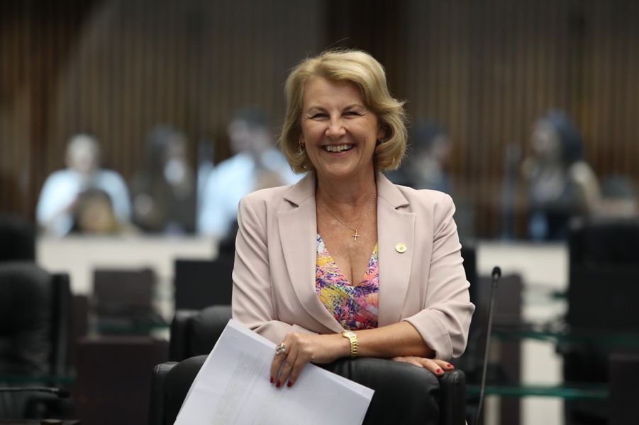huçulak discurso