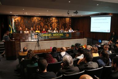 Regulamentação da cannabis medicinal é debatida na Assembleia Legislativa