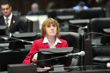 Luciana defende volta de isenção fiscal na compra de carro para quem retirou a mama