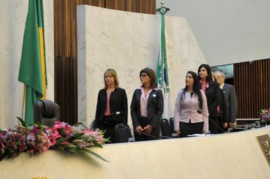 Sessão Solene marca encerramento da campanha do Outubro Rosa na Assembleia