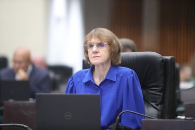Deputada Luciana Rafagnin (PT) encaminha à ANEEL denúncia contra a Copel