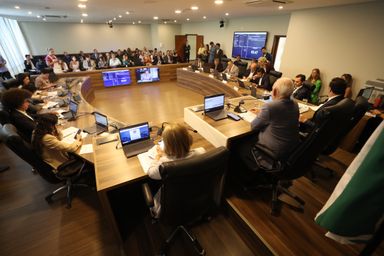 CCJ analisou nova Lei Orgânica da Polícia Civil e reforço à Polícia Penal
