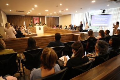 Audiência pública aprofunda debate sobre múltiplos desafios das mulheres