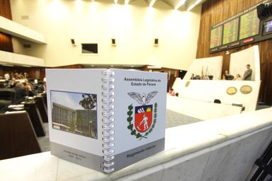 Comissão Executiva distribui cópias atualizadas do Regimento Interno aos deputados