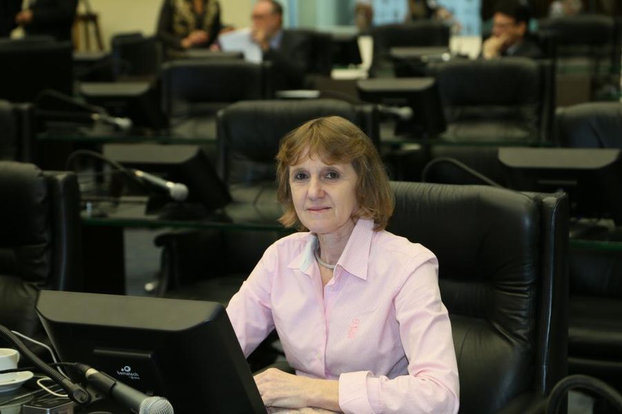 Deputada Luciana Rafagnin