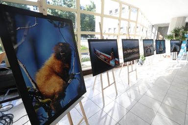 Exposição no Espaço Cultural saúda os 35 anos da criação do Parque Nacional do Superagui